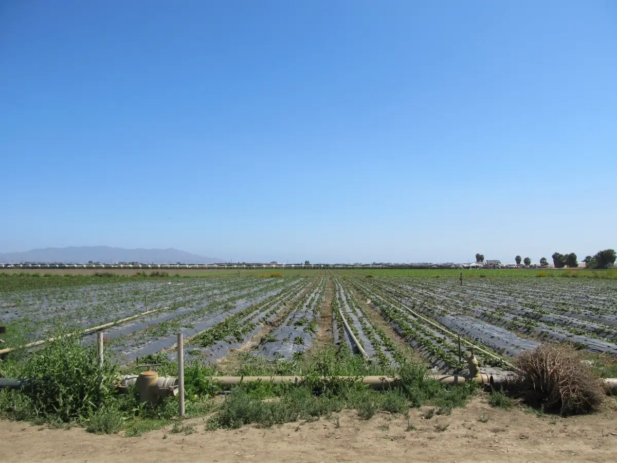 fresno farm labor lawyer